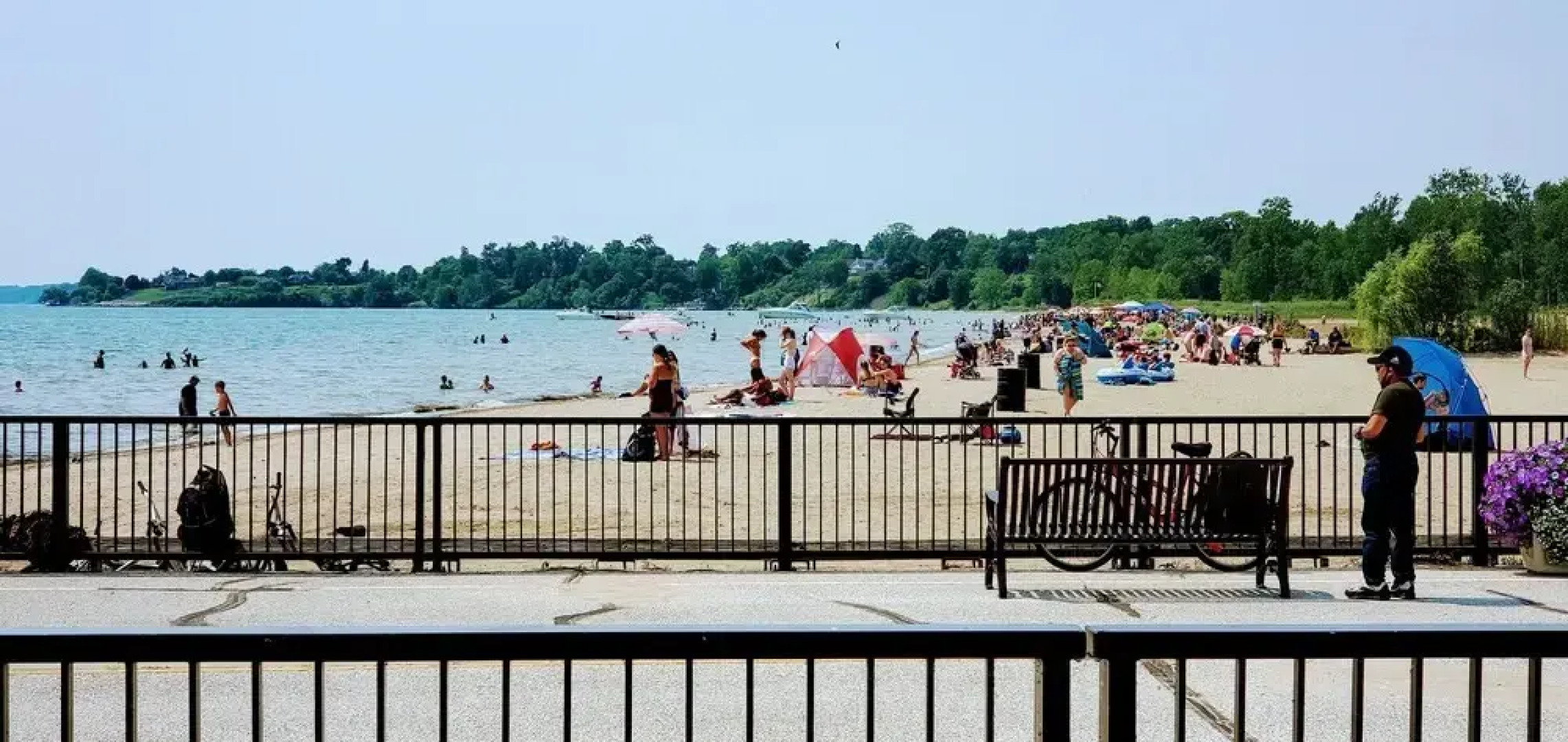 Park Bungalow #4 - Seacliff Beach Suites