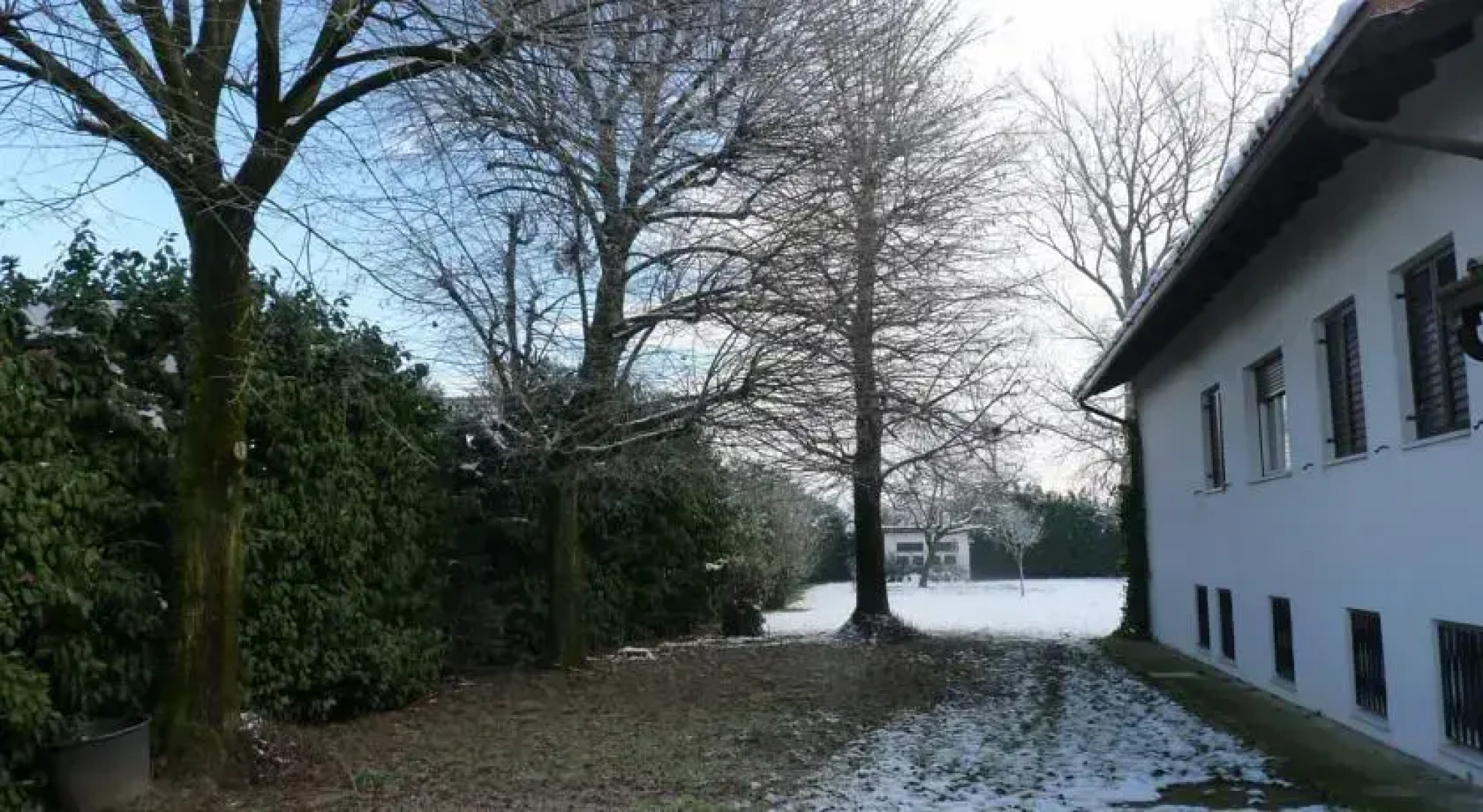 Il Gatto Con Gli Stivali