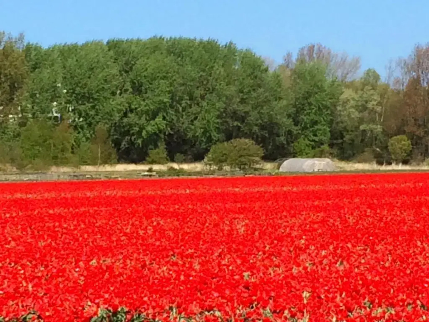 Romantic Wellness BnB Noordwijk