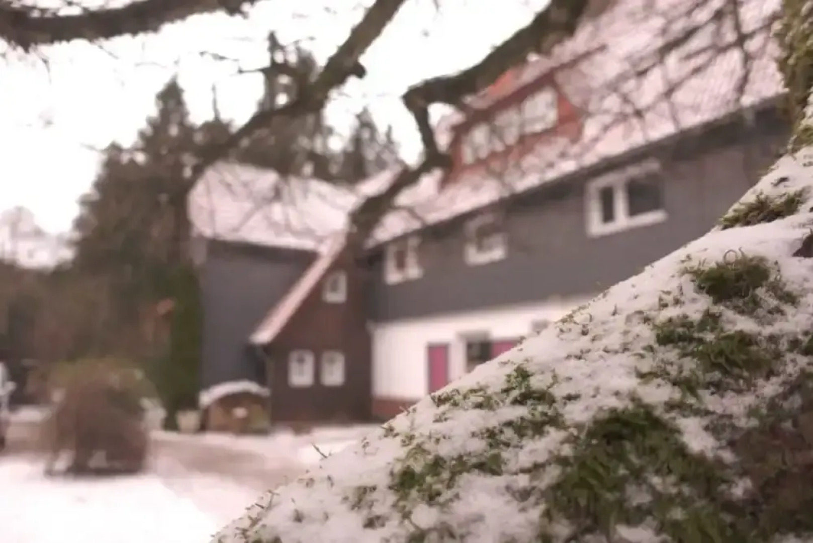 Ferienwohnungen Wiesenhof