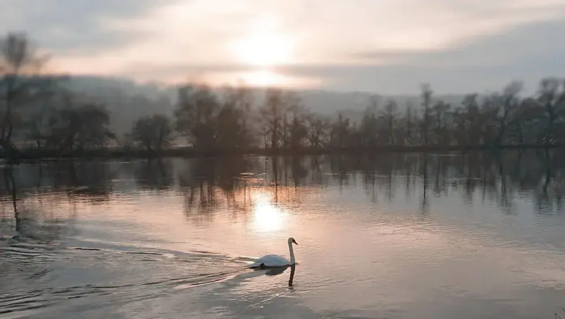 Charming 17th Century 2-bed Cottage in Medmenham