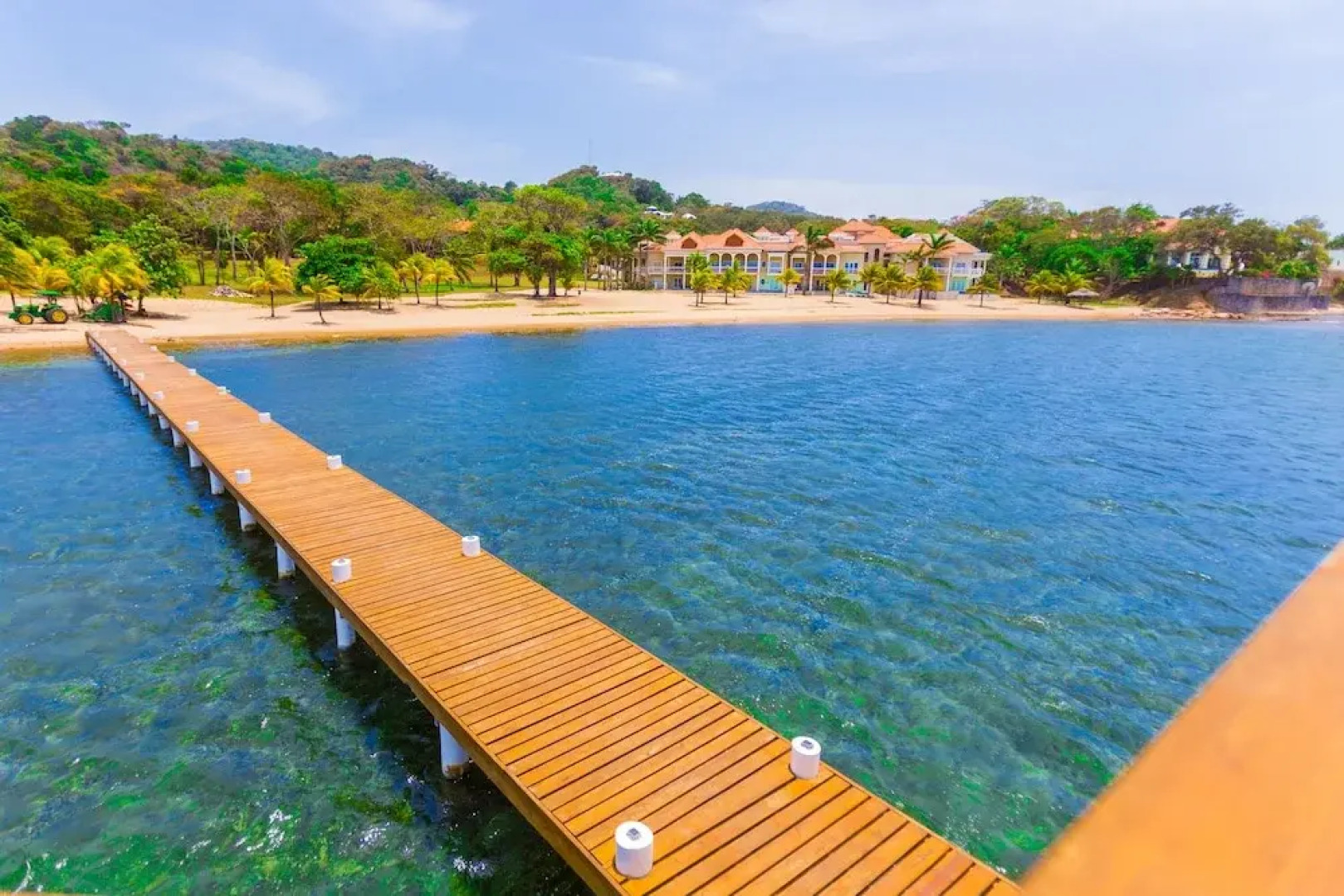 Lawson Rock - Angelfish 100