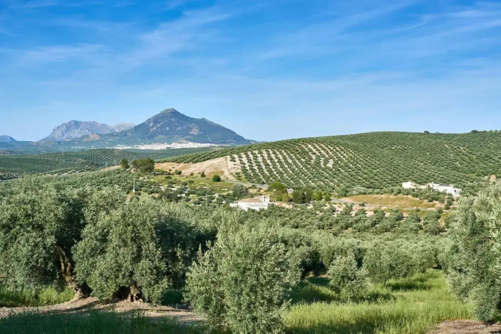 Cortijo las Gregorias