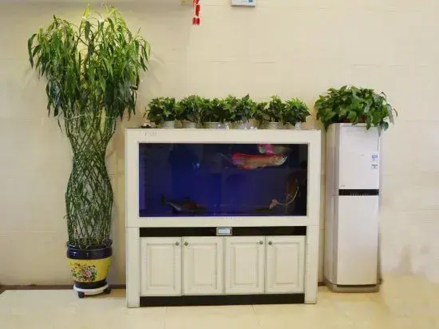 Q+ Shandan Renhe Hotel