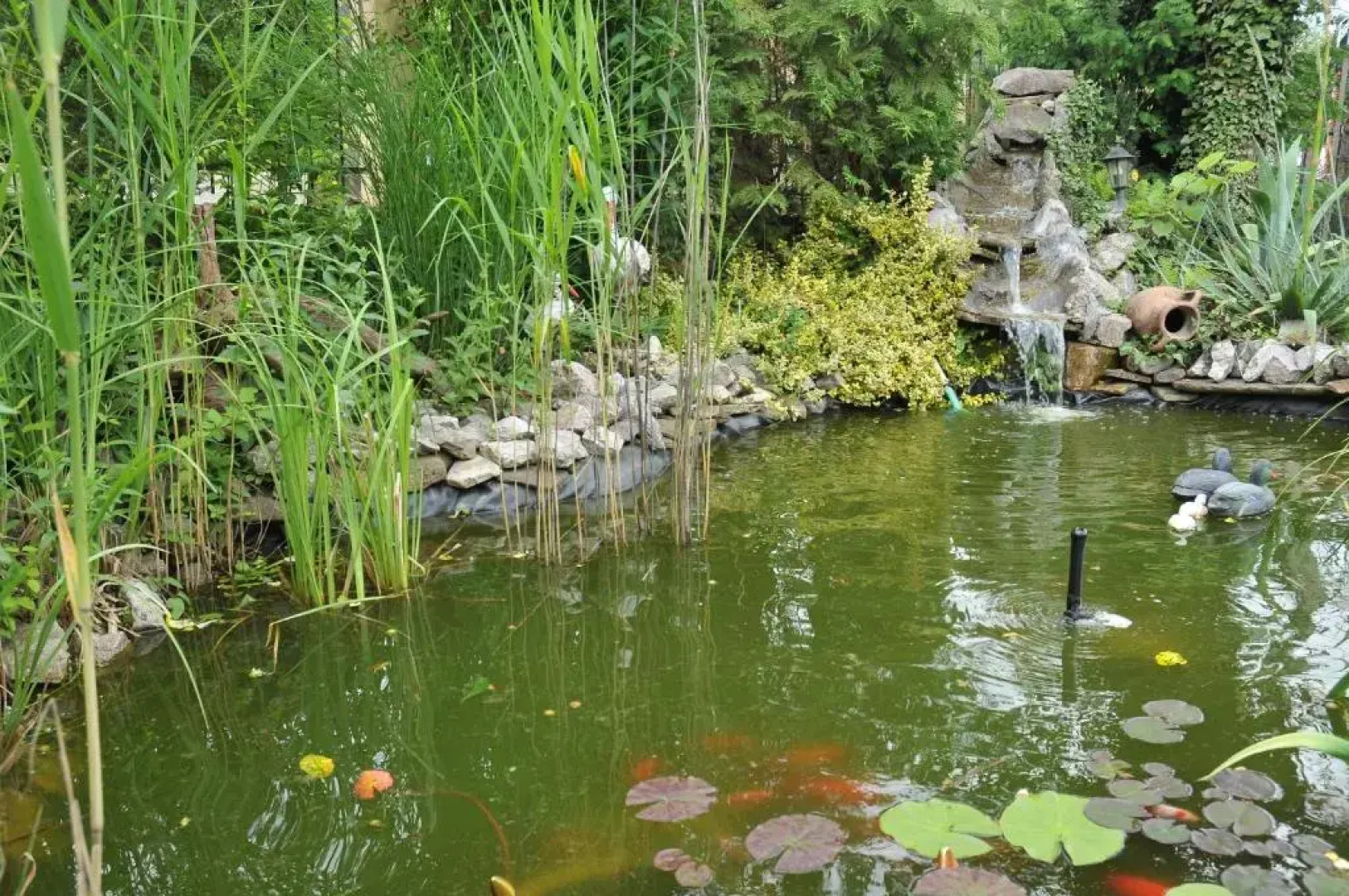 Pensiunea Ana Cristina