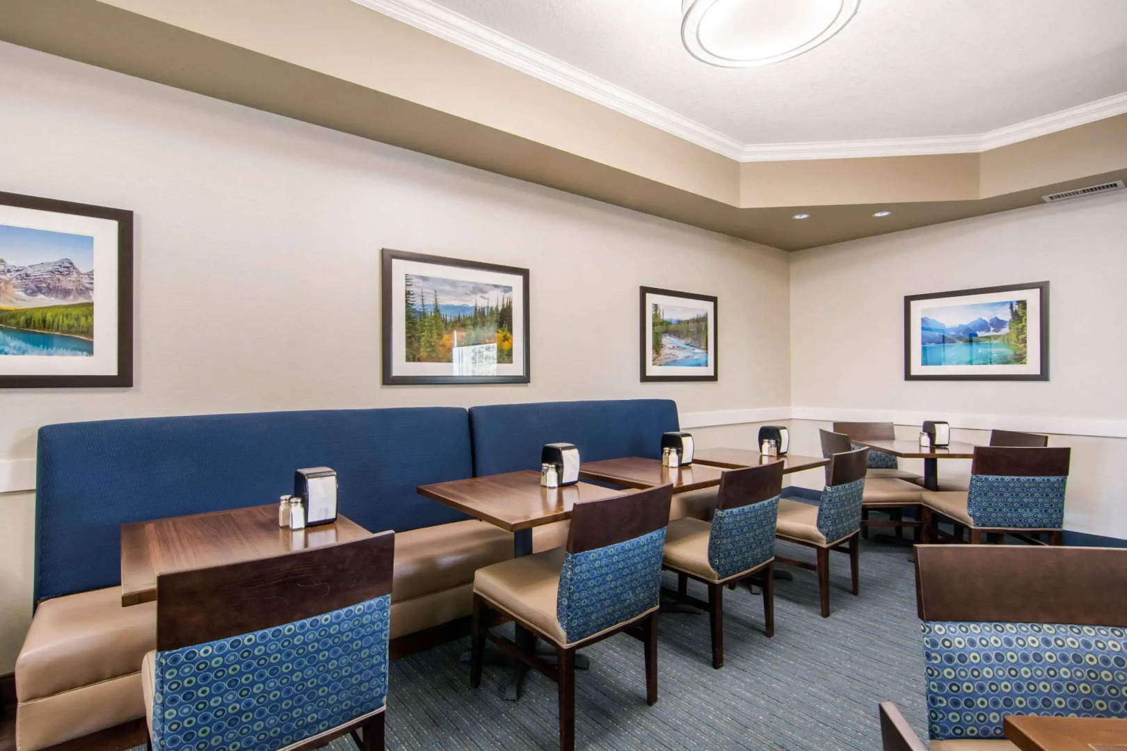Comfort Inn & Suites Red Deer