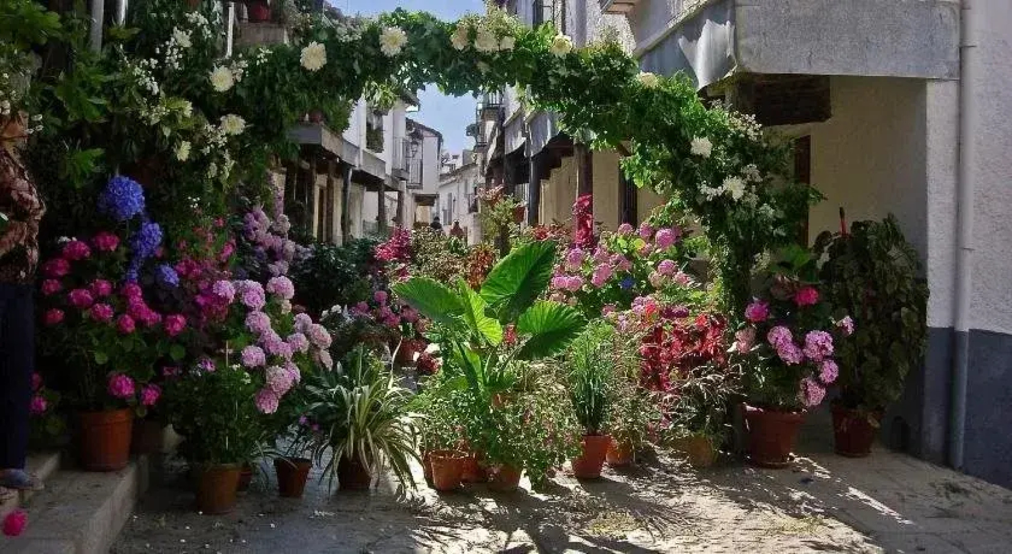 Apartamentos Turisticos Mirayuste