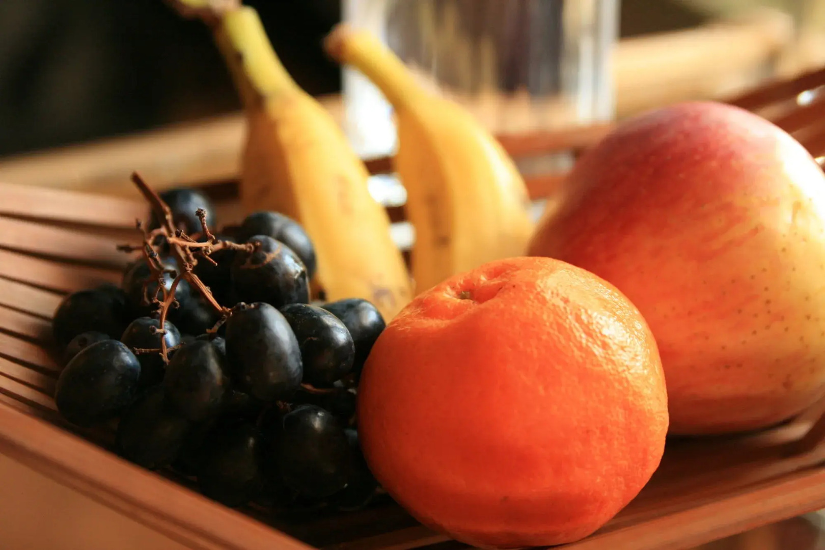 Ambassador Garden Home