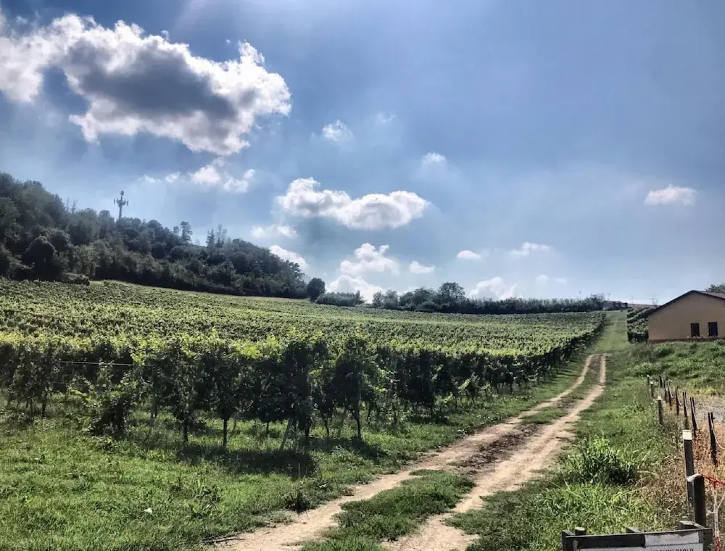 Cascina Liebe Whirlpool Sauna Monferrato CXL OCT 2023