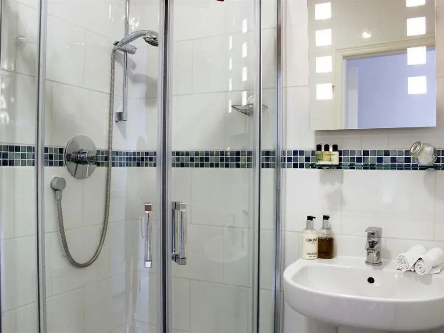 The Bishop And The Bison