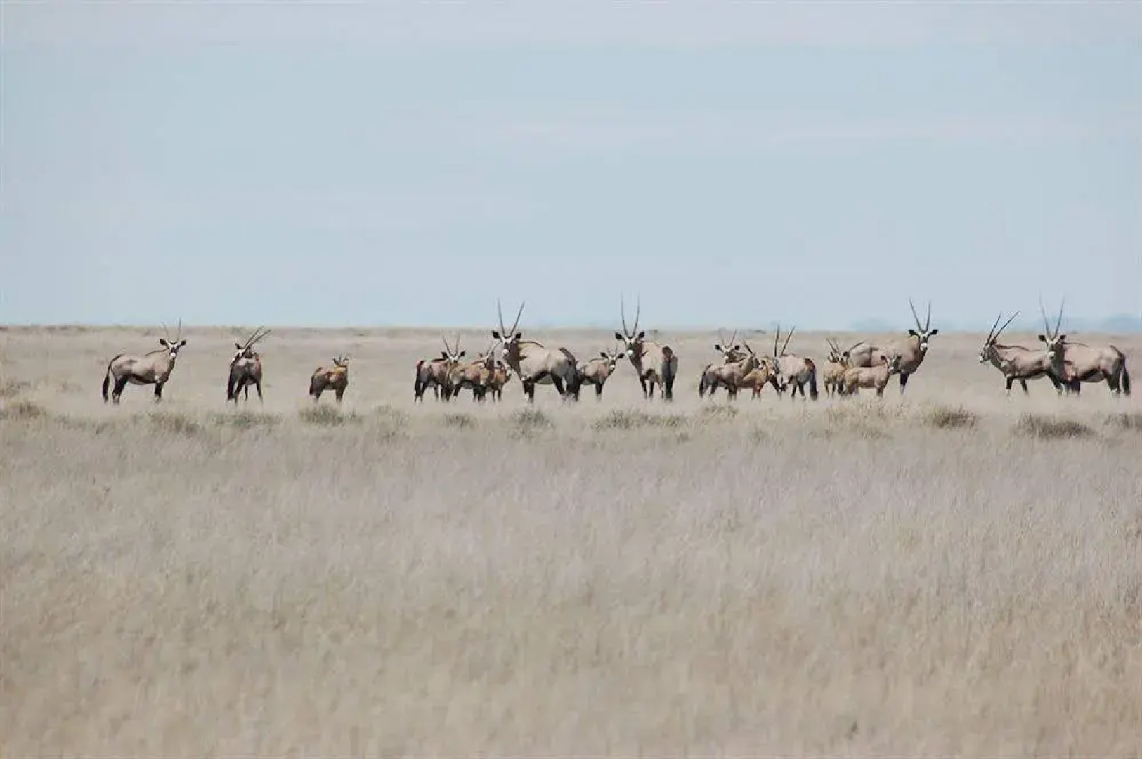 Uukwaluudhi Safari Lodge