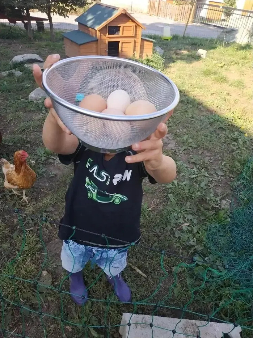 Chambre d'Hotes des Bassins
