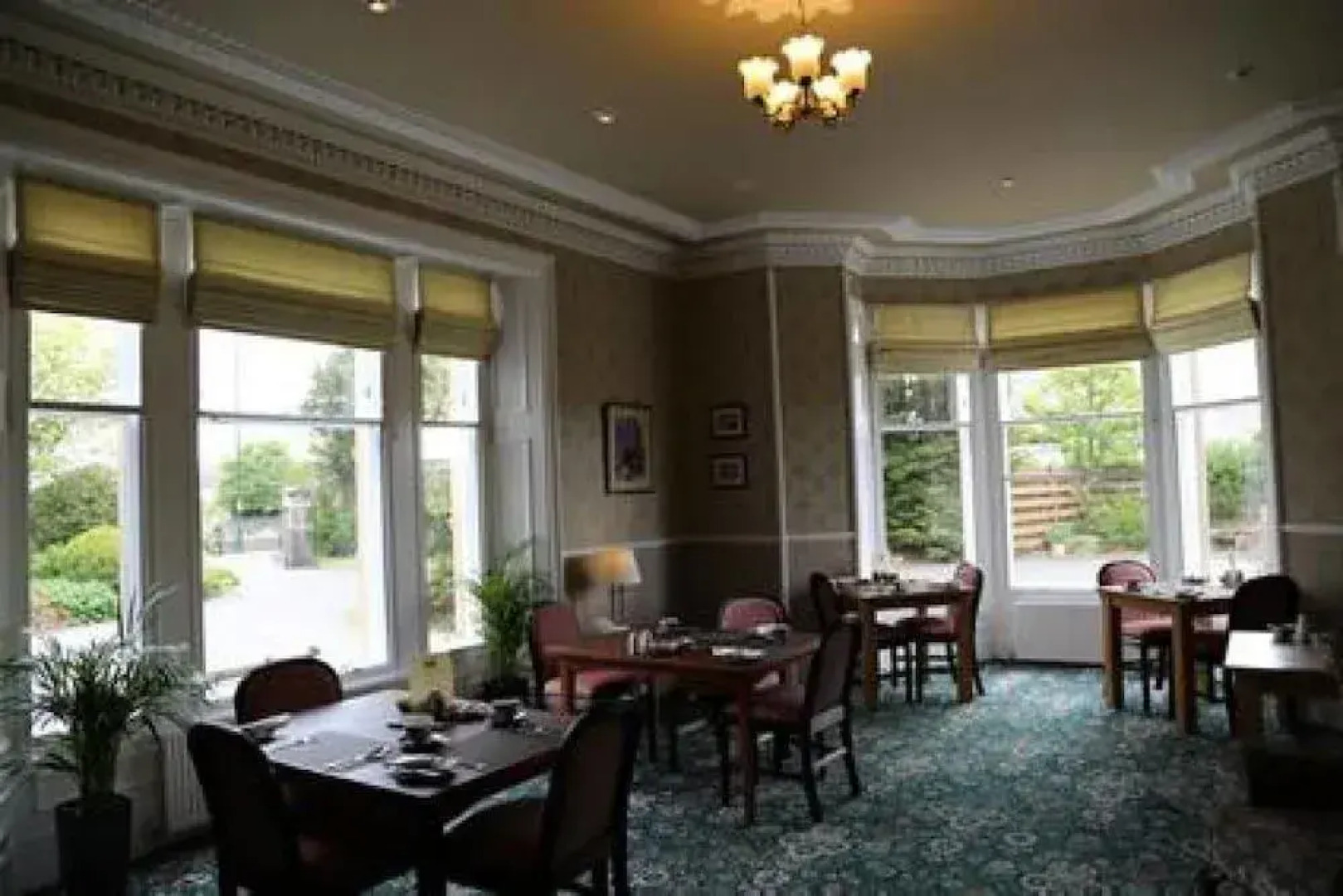 The Pines Guesthouse