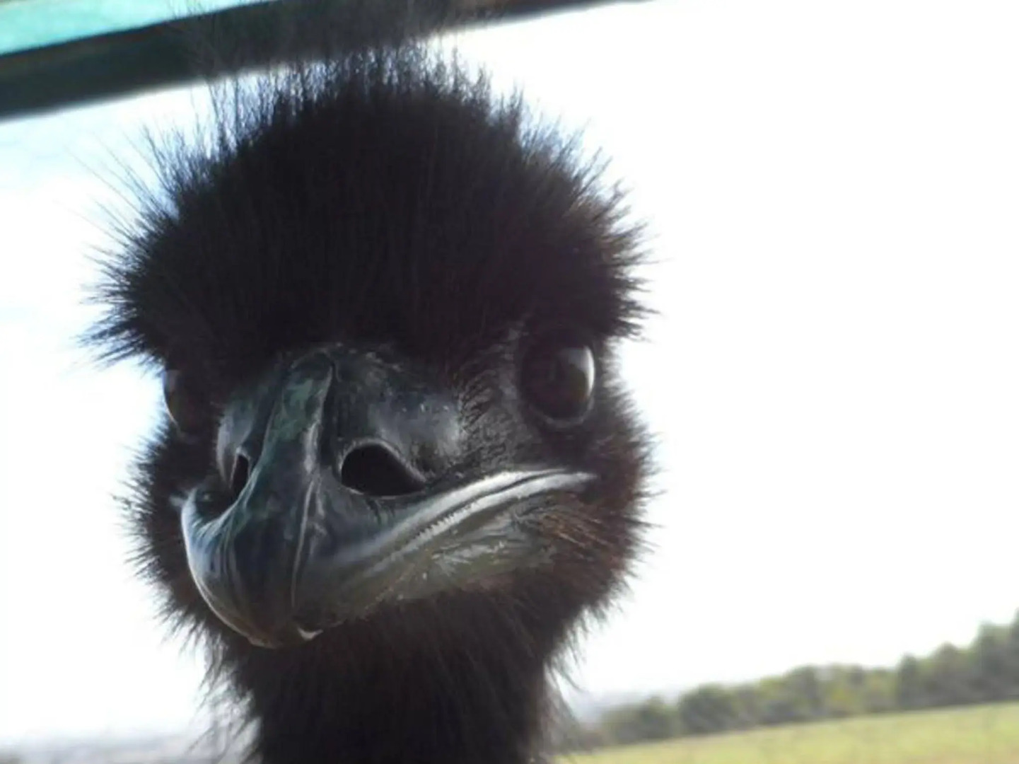 Tennessee Hill Chalets