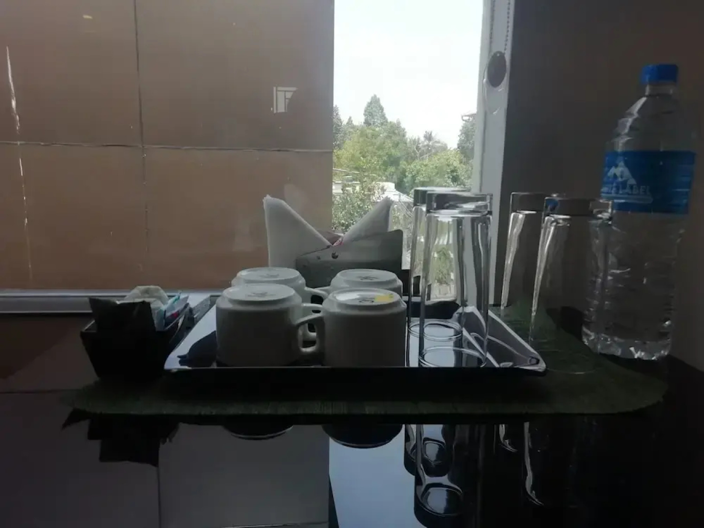 Paul residency