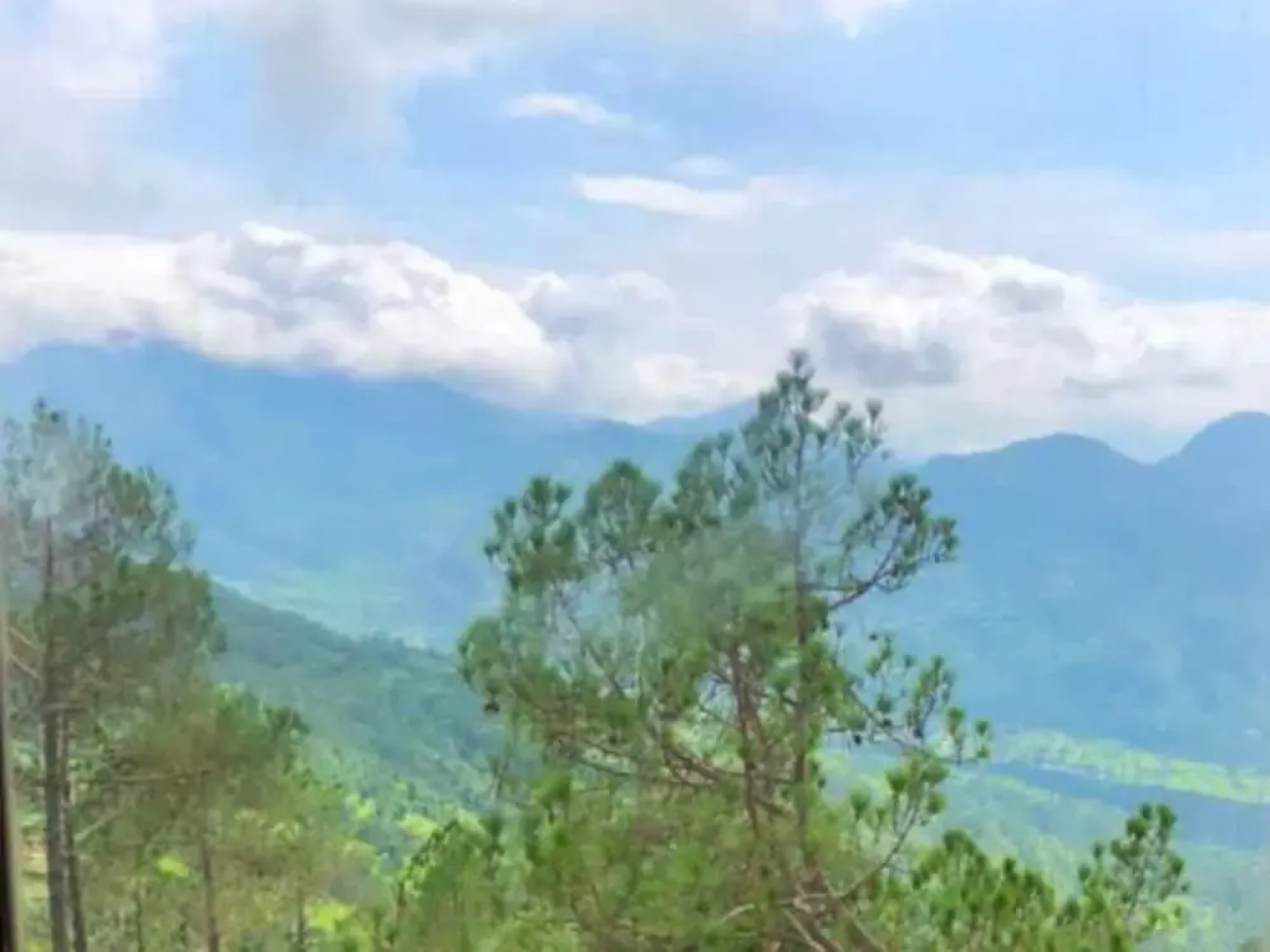 Sukoon, Bhatrojkhan (Near Ranikhet)