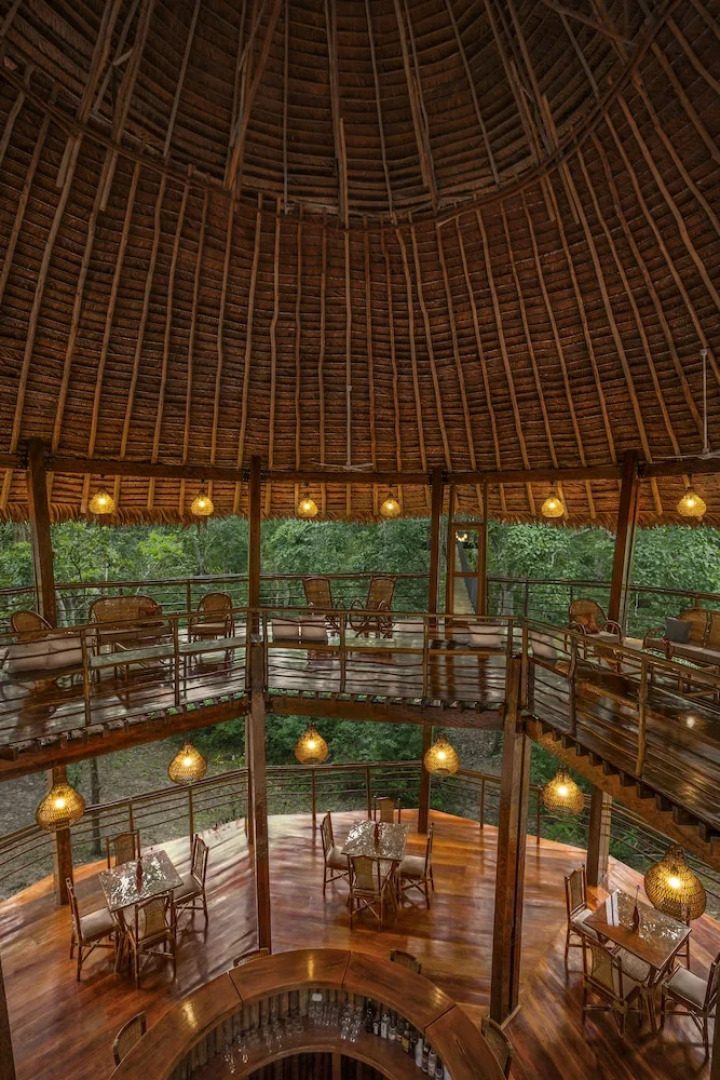 Treehouse Lodge