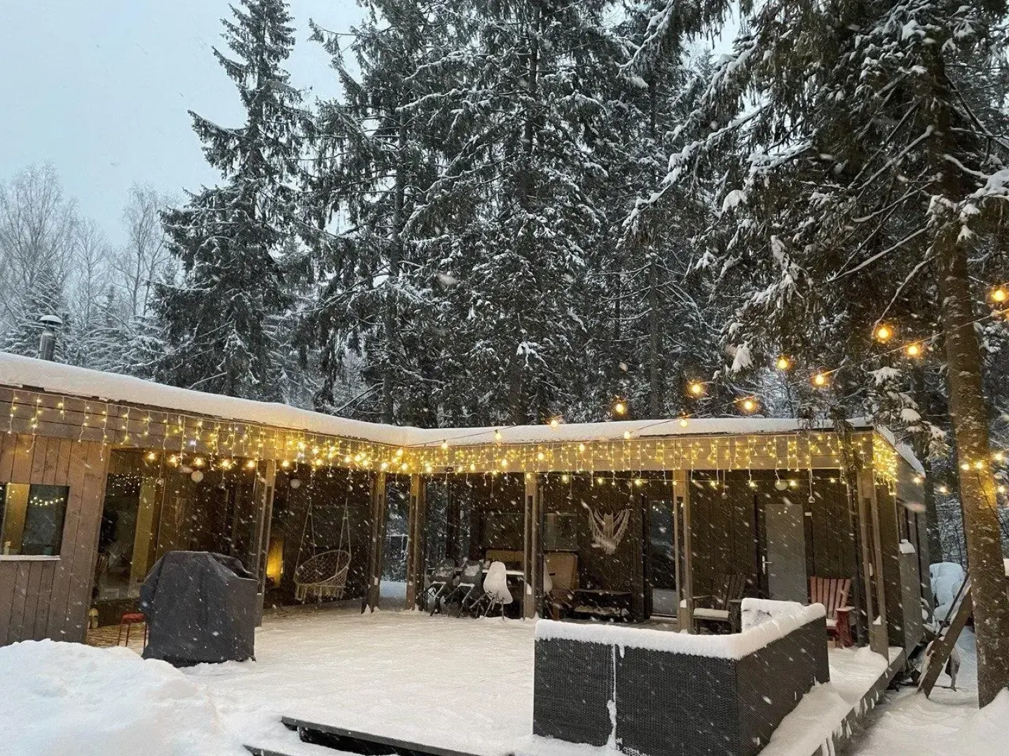 Шале в хвойном лесу