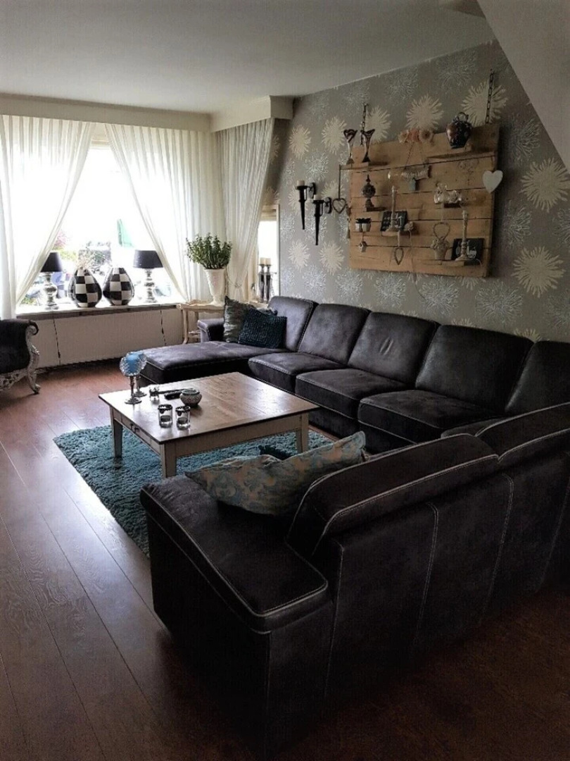 Impeccable 4-bed House in Castricum Butterfly