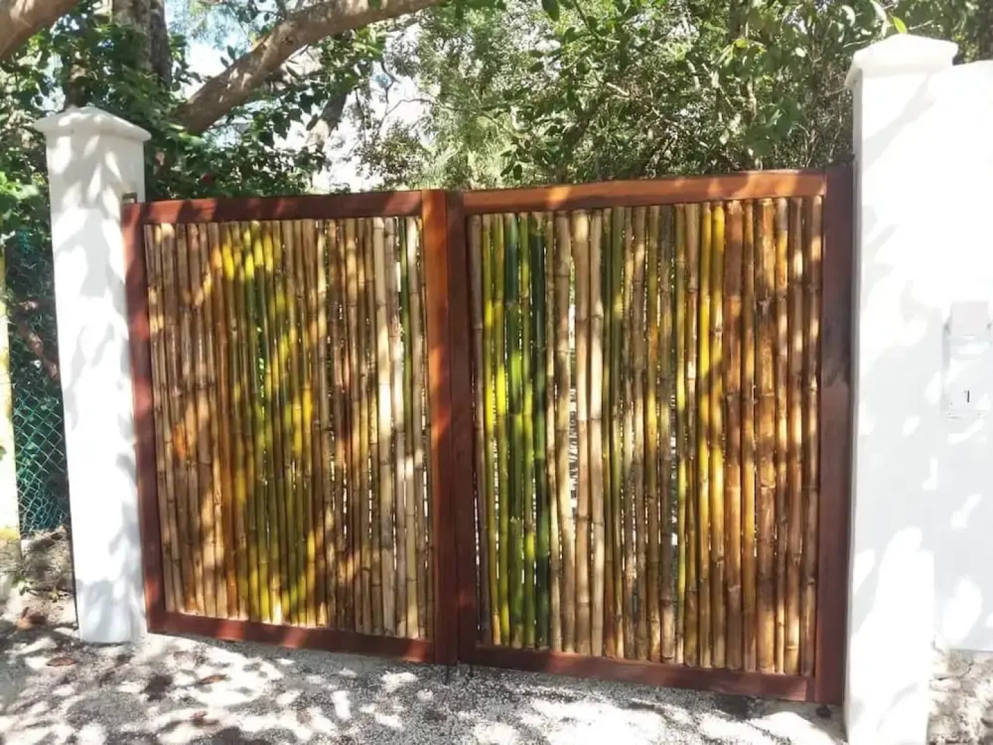 Mini Pini Birdwatching and Cenote Loft4 you Only