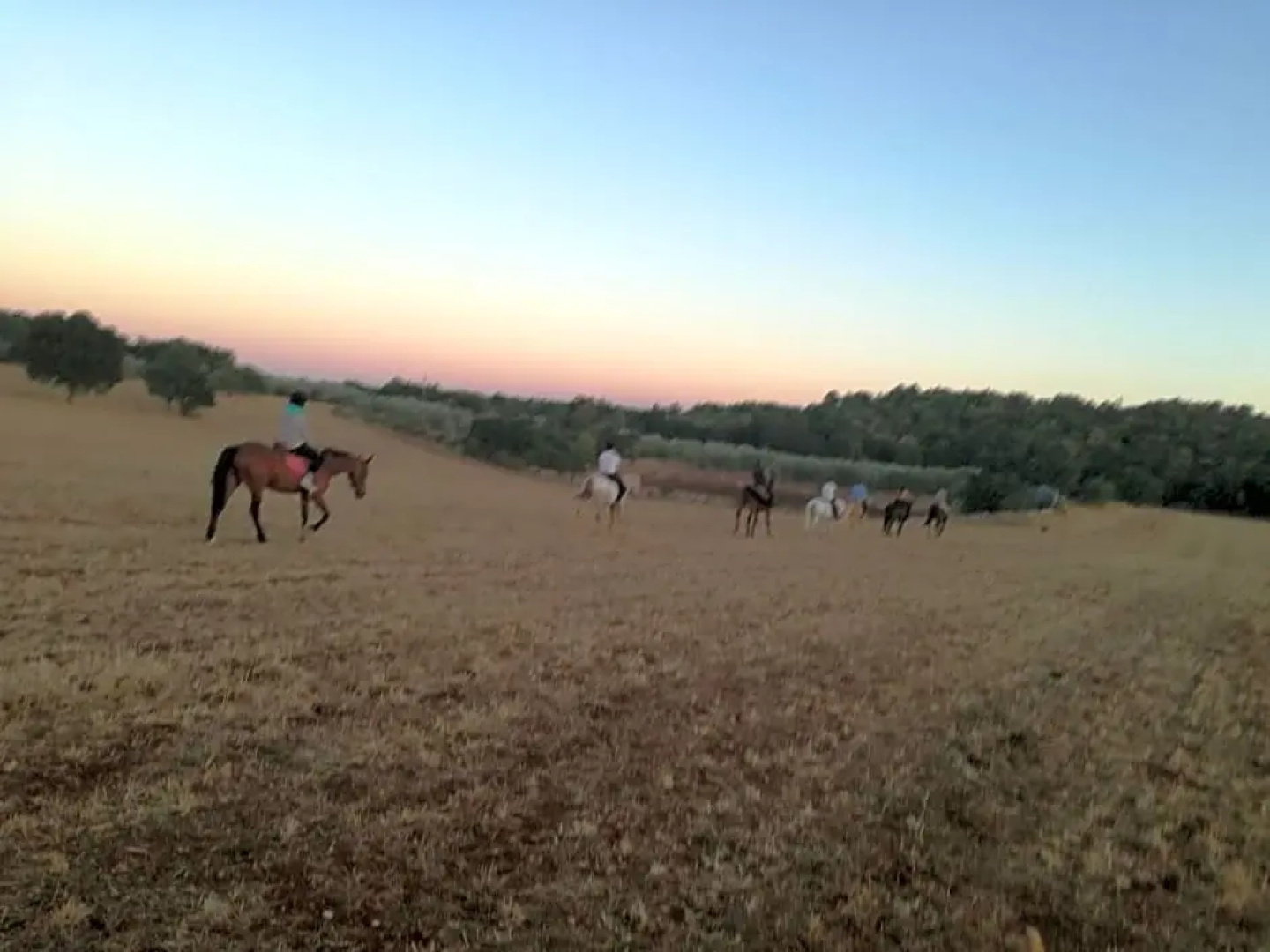 Agriturismo Fasano