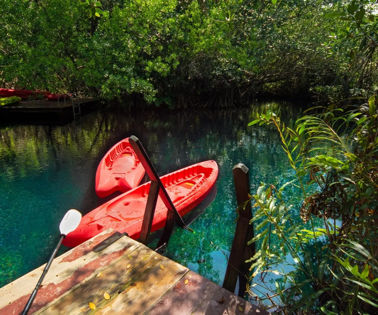 Hacienda Tres Rios Resort, Spa & Nature Park-All Inclusive