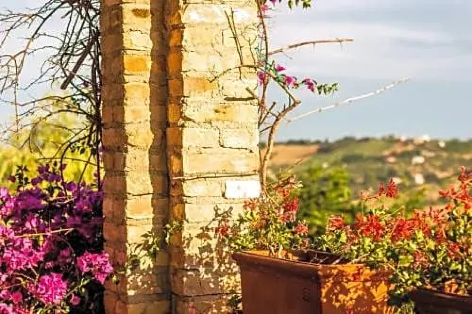 Collina dei Ciliegi b&b