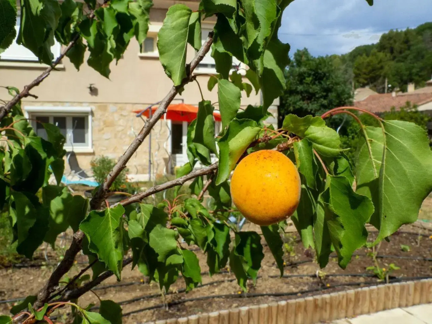 Gite de L'ancienne Gare (Adults Only)