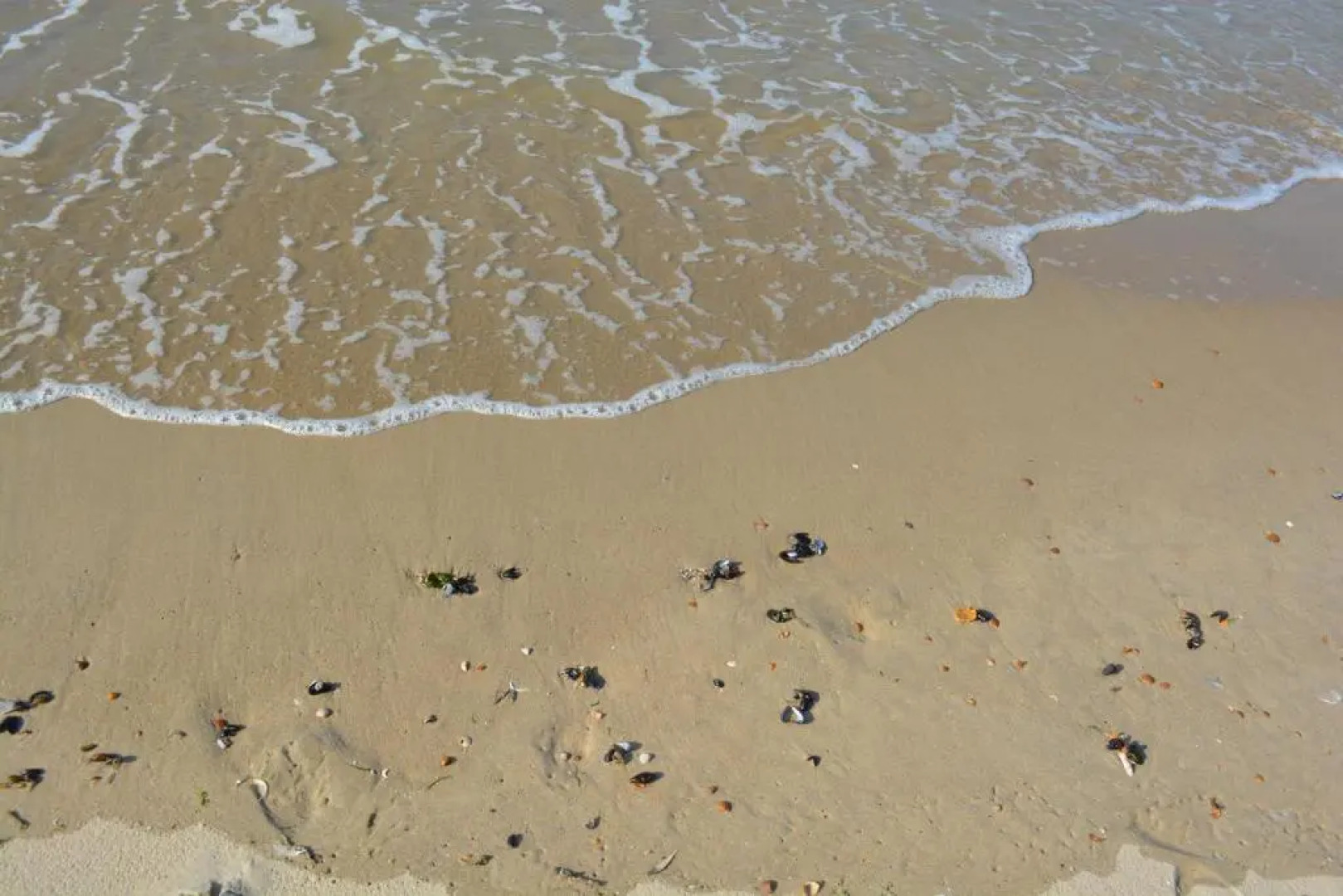 Residentie Da Vinci Middelkerke