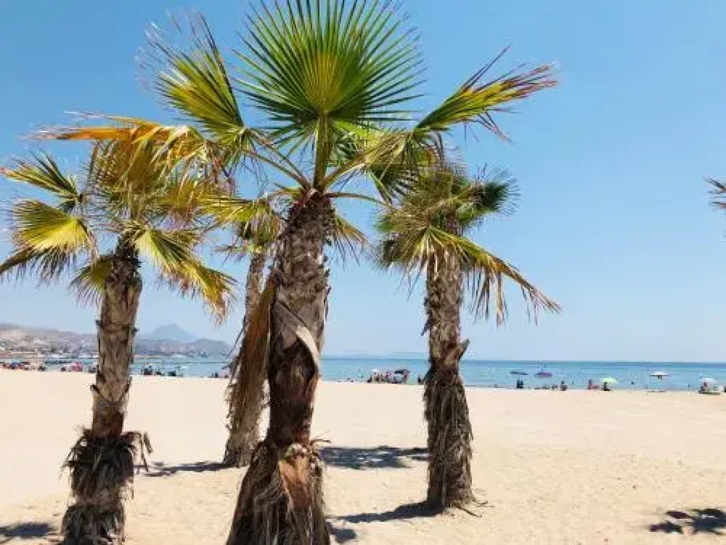 Apartament El Castillo De Bonalba