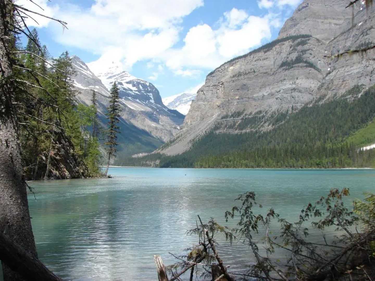 Mica Mountain Lodge & Log Cabins