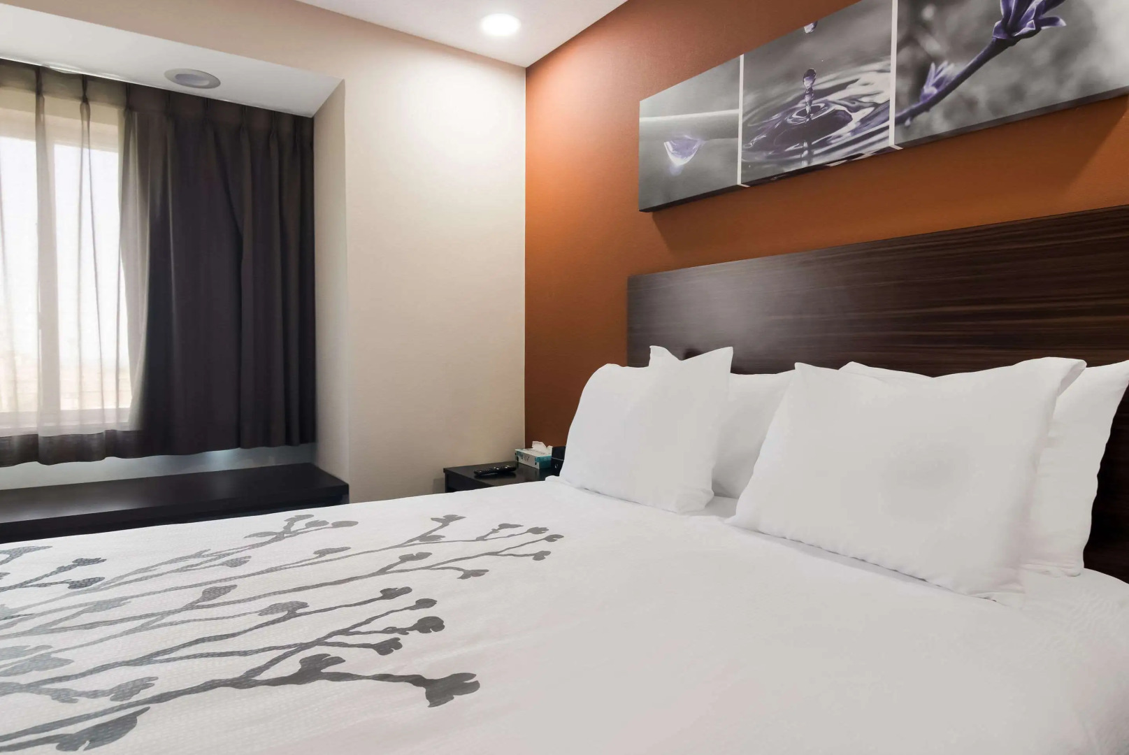 Sleep Inn Erie near Sports Center