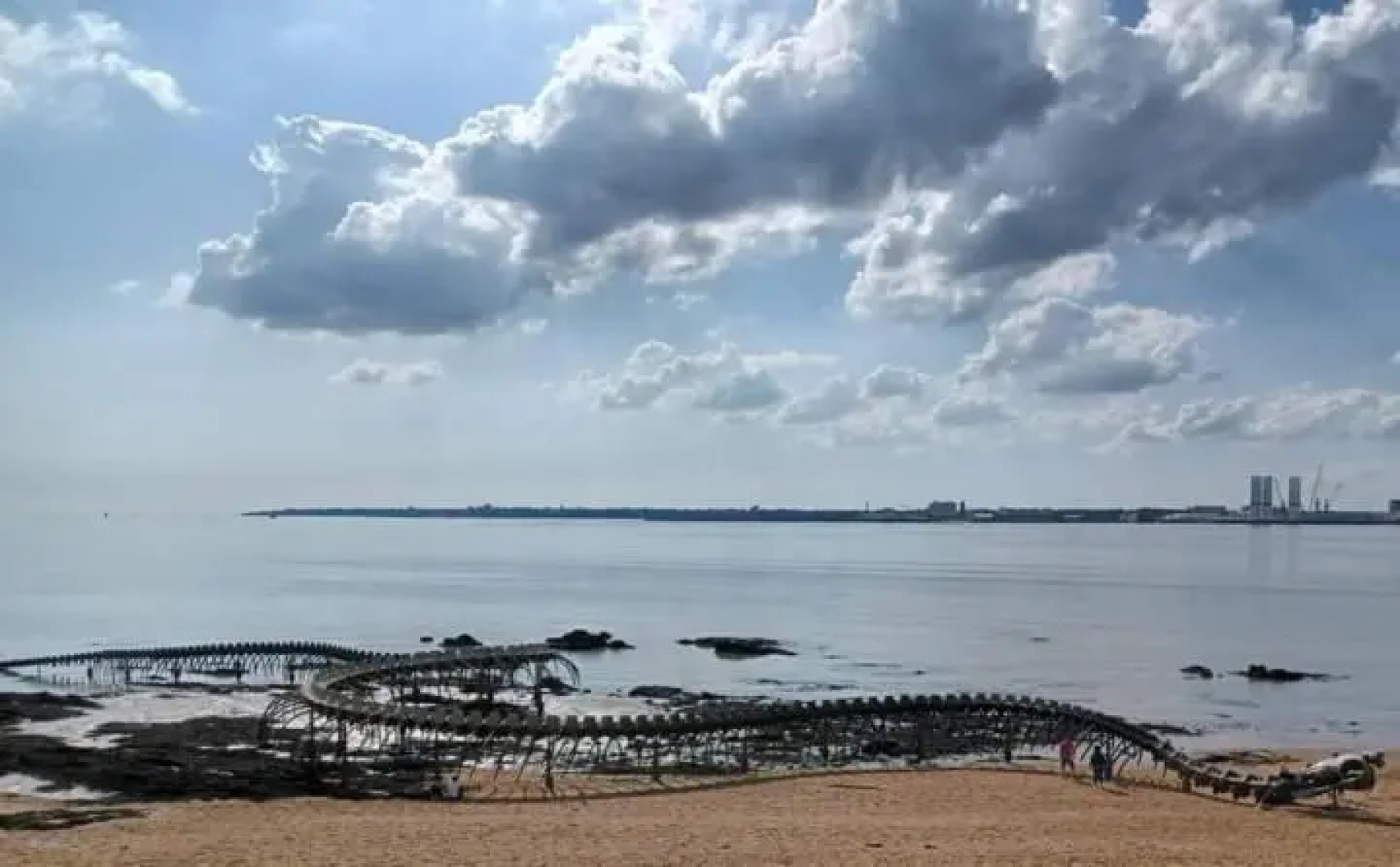 magnifique appartement 3 étoiles centre ville et mer à pied