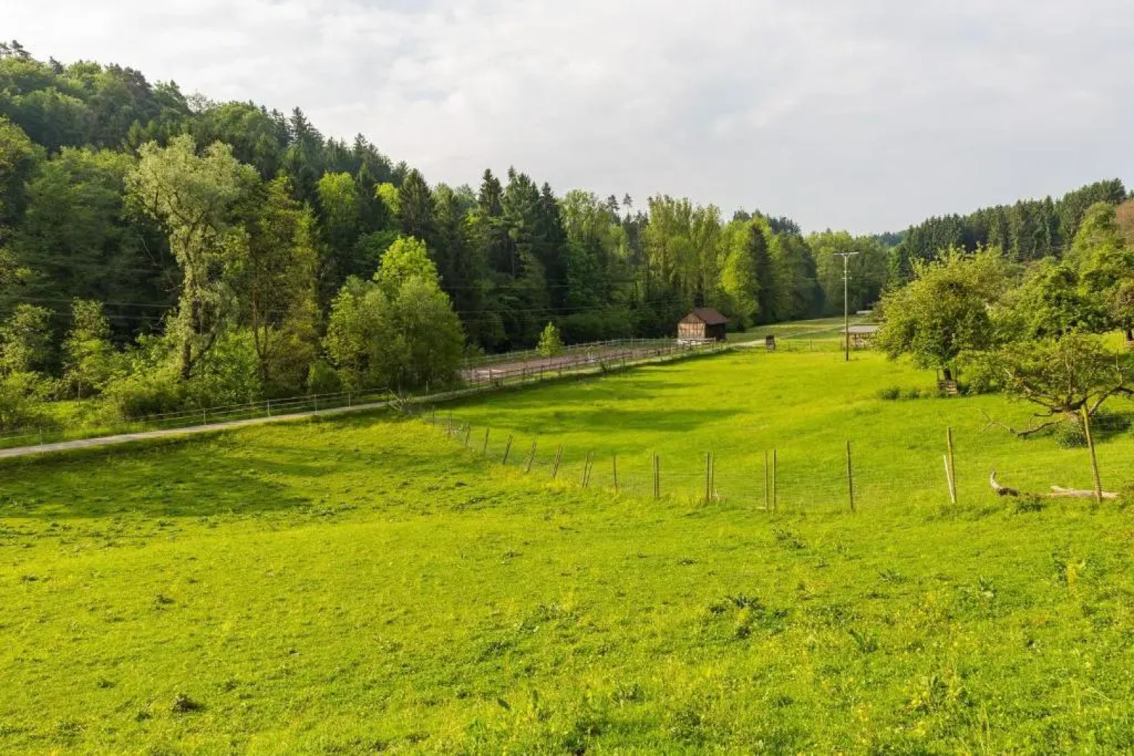 "Natur pur" Refugium für Mensch und Tier