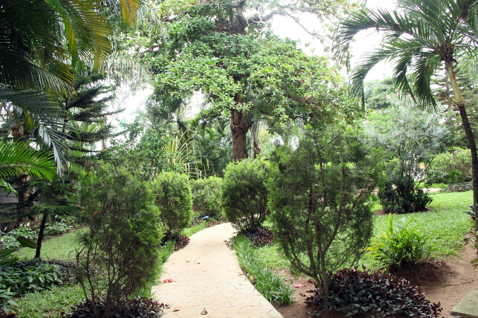 Clear Essence California Spa & Wellness Resort