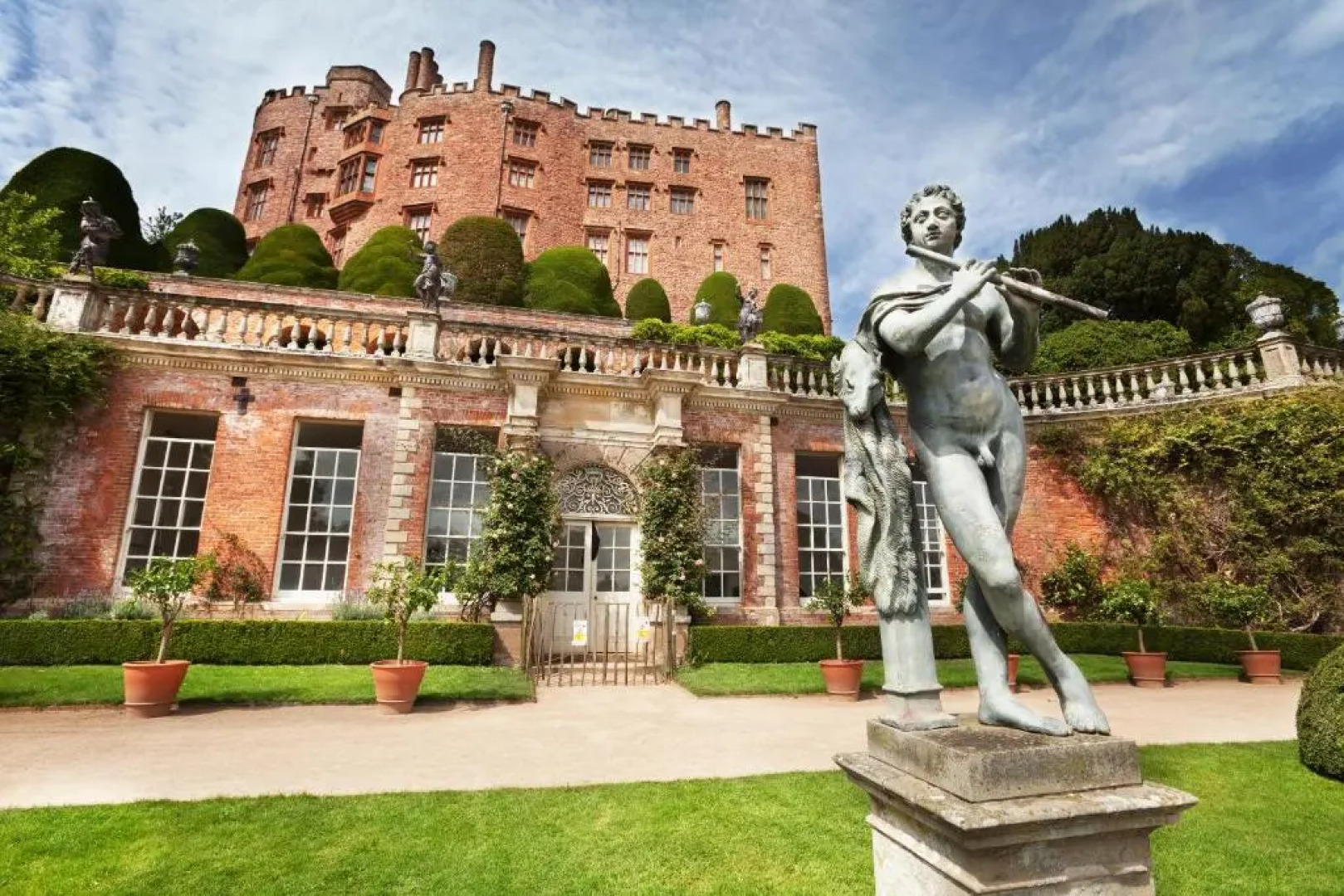 Bluebell at Gaer Fawr
