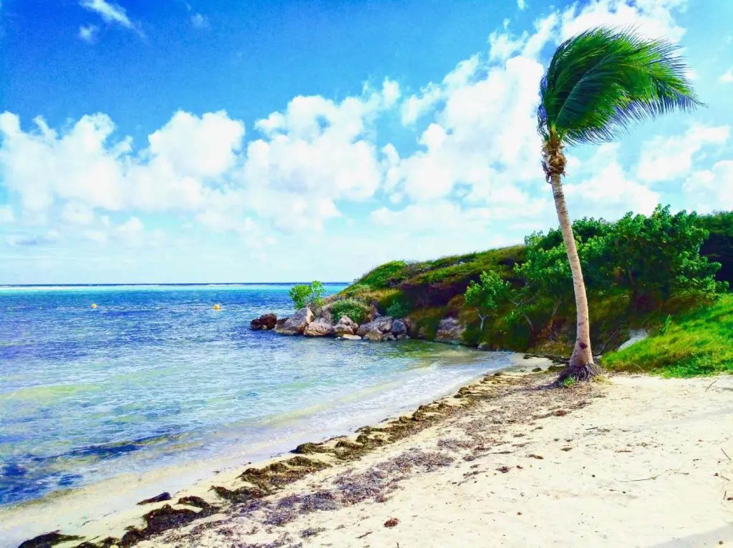 Studio Hibiscus Le Kayela