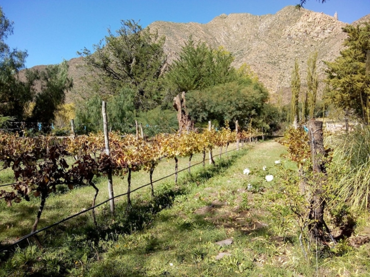 Casa de Campo La Paya
