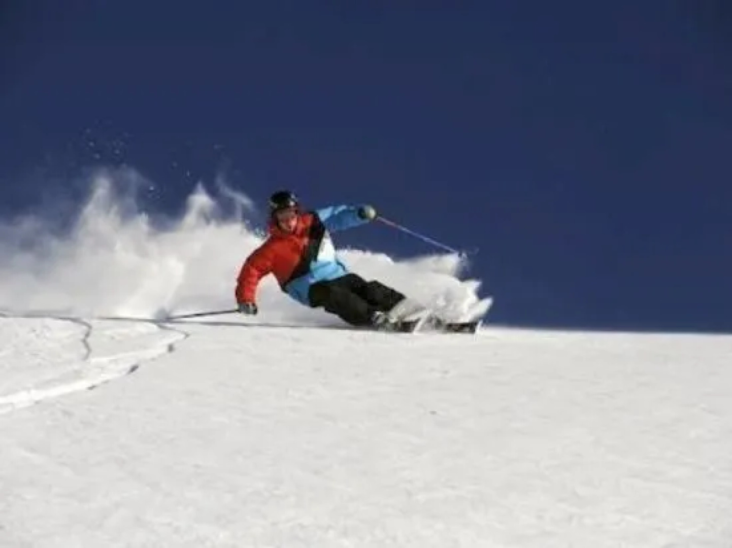 Elevation Apartments