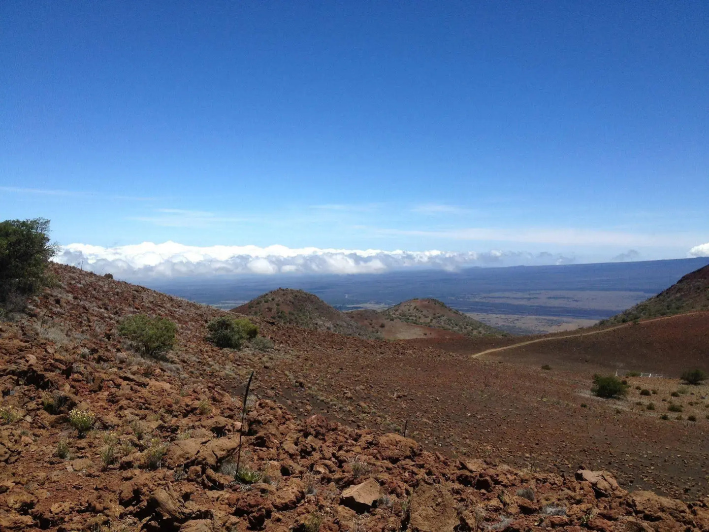 The Guest Cottages @ Volcano Acres Tree House