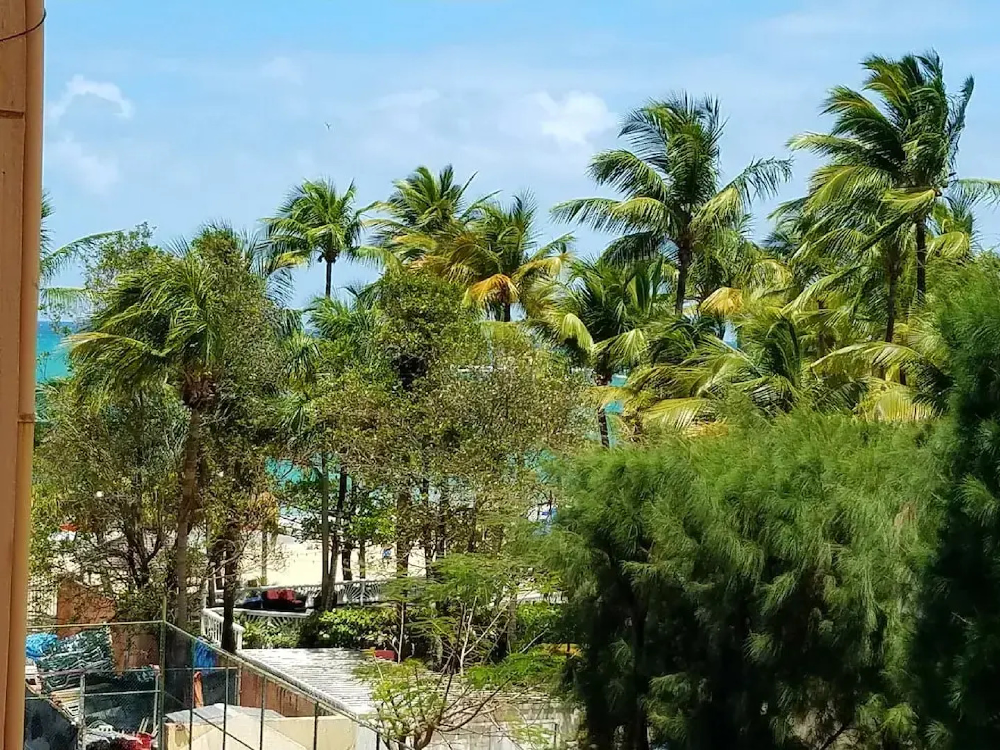 Beachfront Coral Beach Condo 305