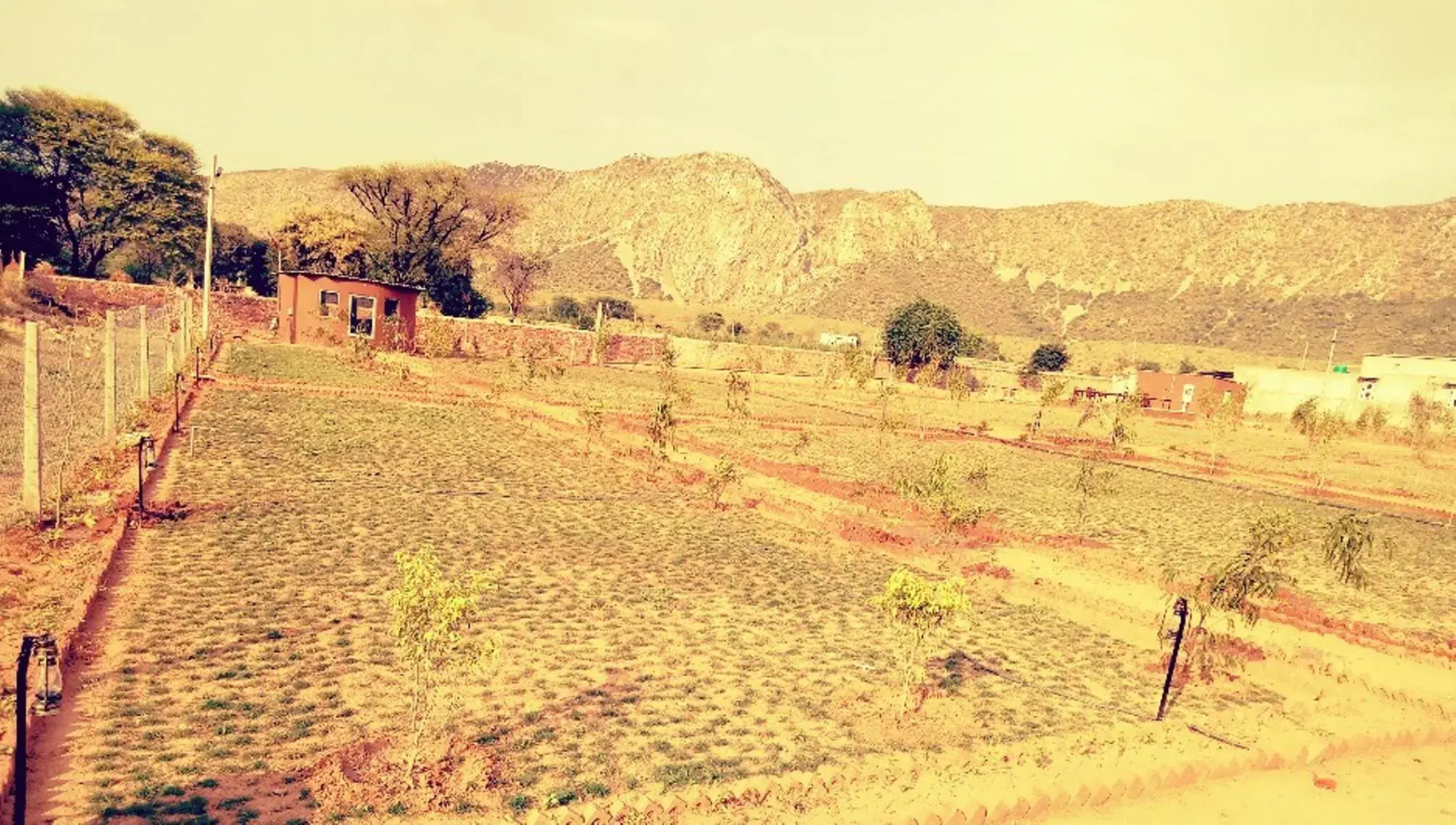 The Tiger Hill Sariska Resort