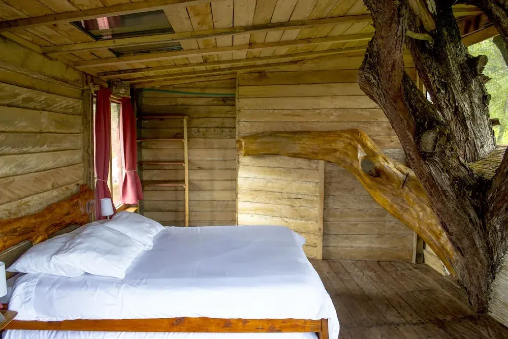 Monte Verde Cabañas & Camping