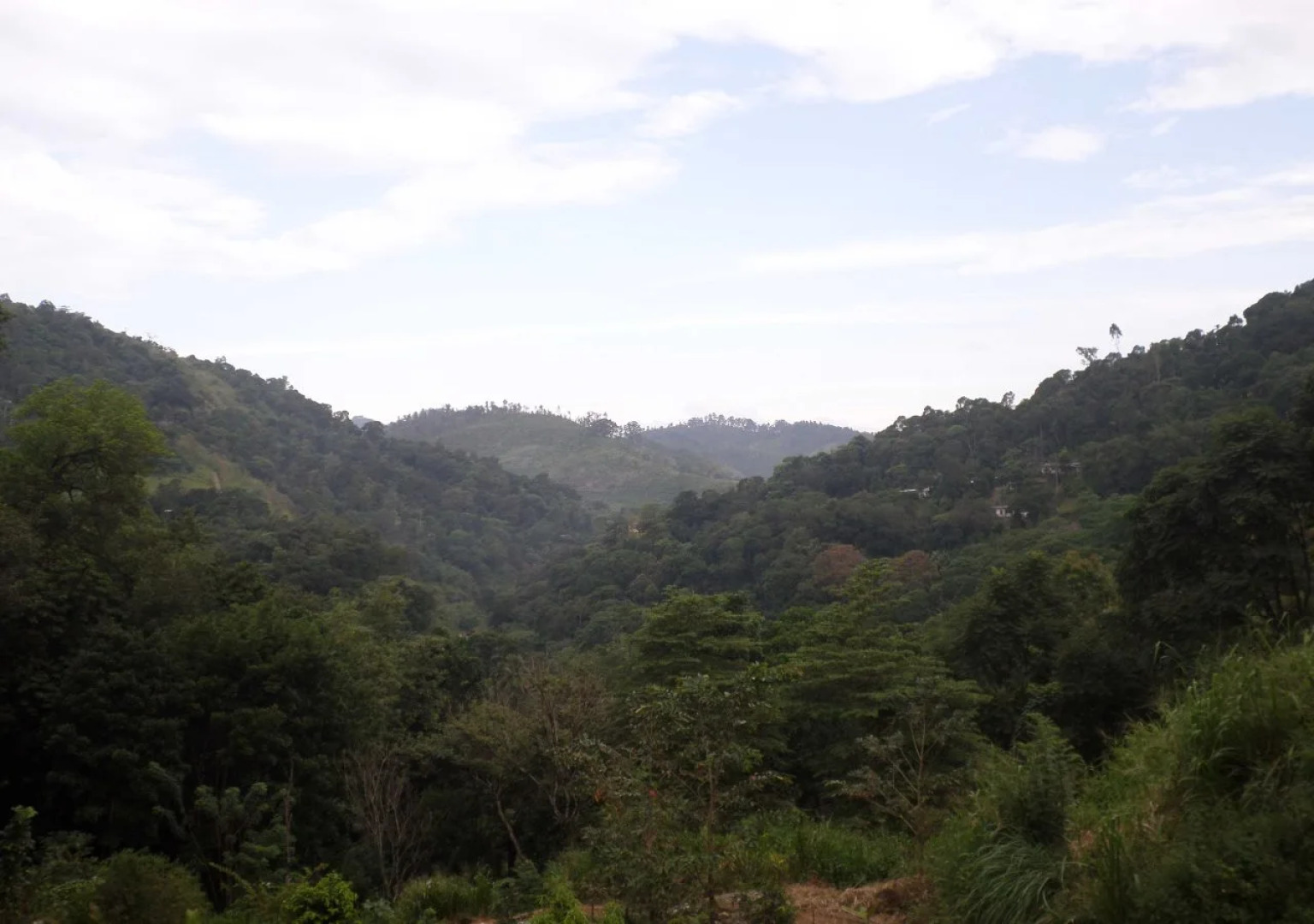 Green Woods Holiday Inn