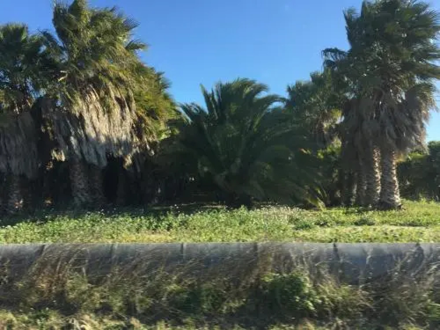 Casa del Pi Interior
