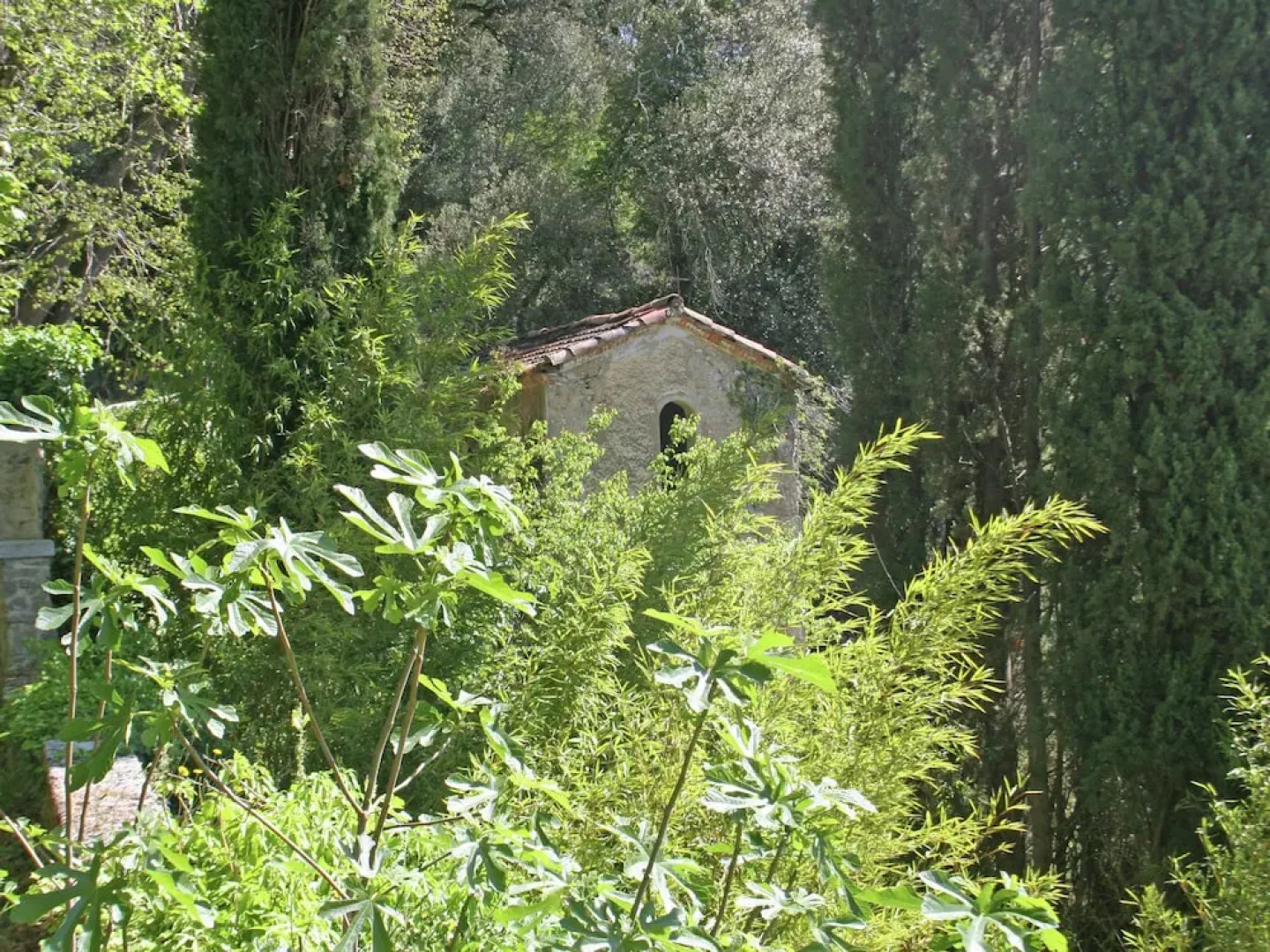 Alluring Cottage in Barjols With Roofed Terrace
