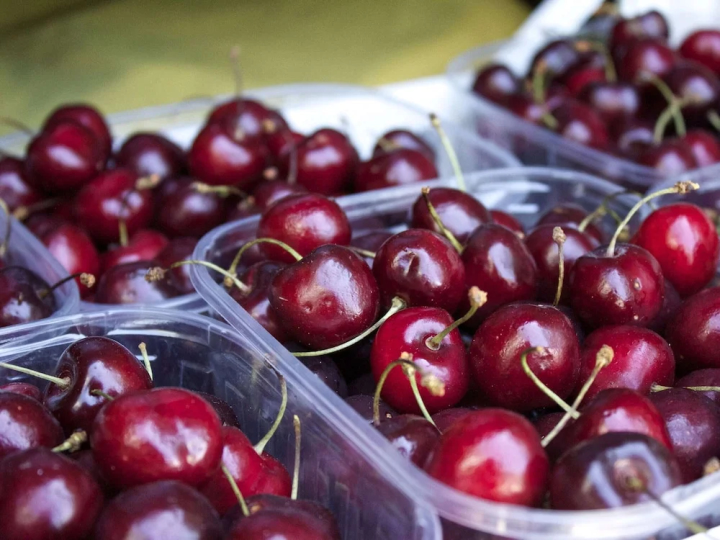 Rural Retreat in Sassoleone