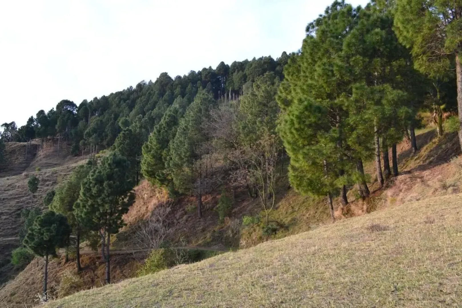 West End Guest House