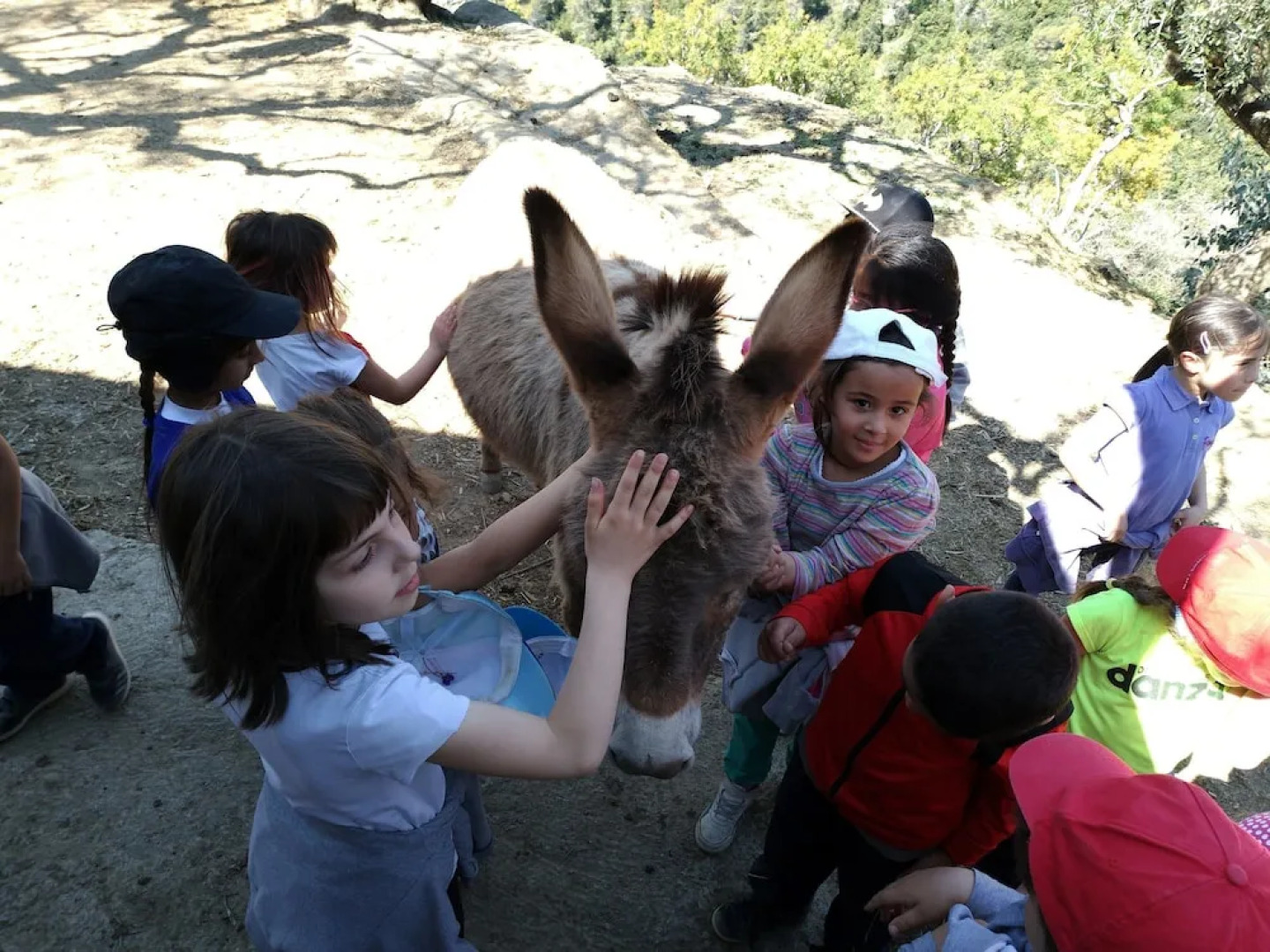 Agriturismo Rio Lovaira