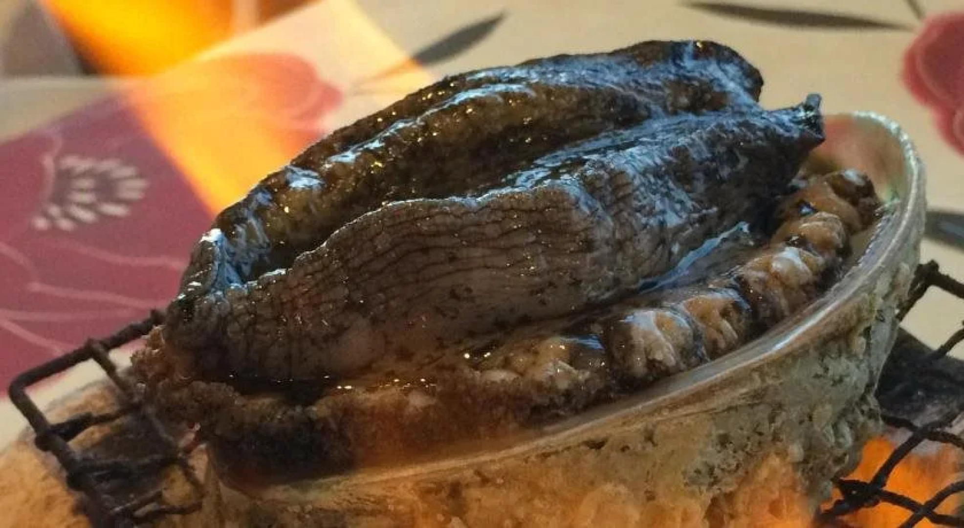 Kokumin Shukusha Hibiki